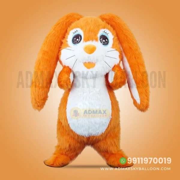 Cartoon Mascot Costume